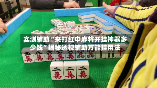 实测辅助“来打红中麻将开挂神器多少钱”揭秘透视辅助万能挂用法-第3张图片