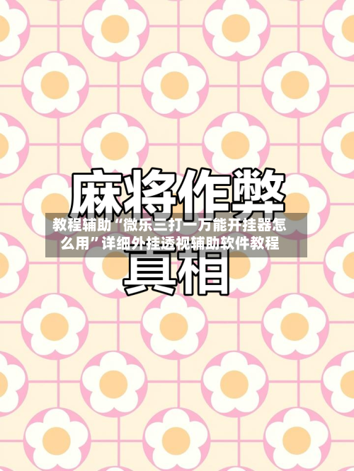 教程辅助“微乐三打一万能开挂器怎么用	”详细外挂透视辅助软件教程-第3张图片