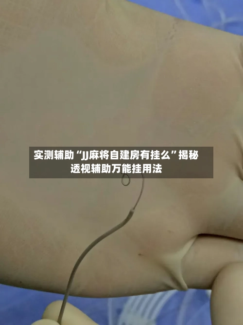 实测辅助“JJ麻将自建房有挂么	”揭秘透视辅助万能挂用法-第1张图片