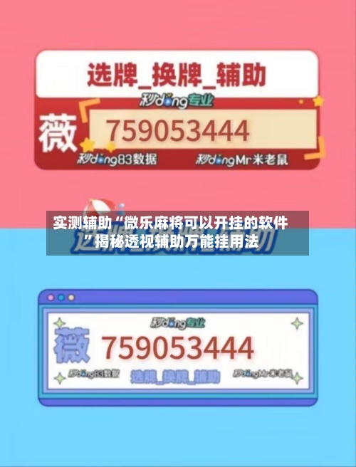 实测辅助“微乐麻将可以开挂的软件	”揭秘透视辅助万能挂用法-第1张图片