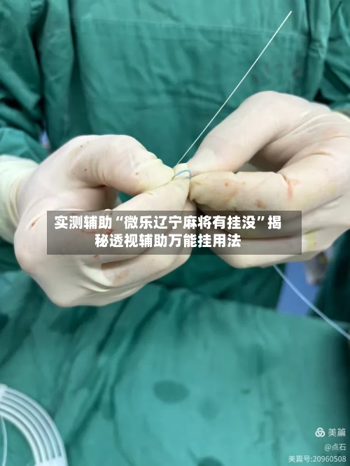 实测辅助“微乐辽宁麻将有挂没”揭秘透视辅助万能挂用法-第2张图片