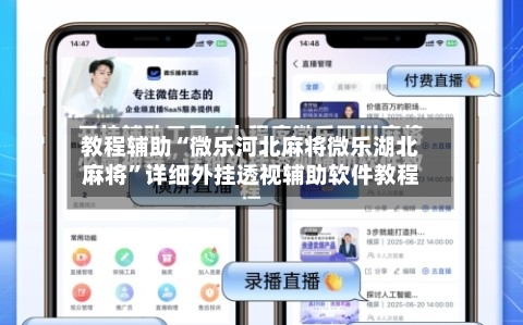 教程辅助“微乐河北麻将微乐湖北麻将”详细外挂透视辅助软件教程-第1张图片