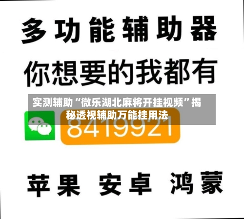 实测辅助“微乐湖北麻将开挂视频”揭秘透视辅助万能挂用法-第1张图片