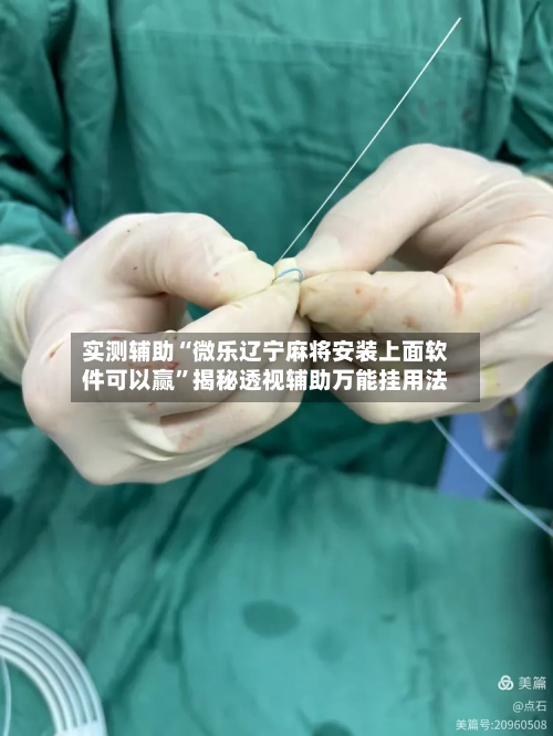 实测辅助“微乐辽宁麻将安装上面软件可以赢”揭秘透视辅助万能挂用法-第2张图片