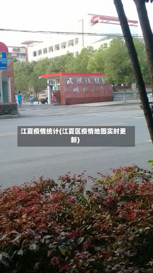 江夏疫情统计(江夏区疫情地图实时更新)-第1张图片