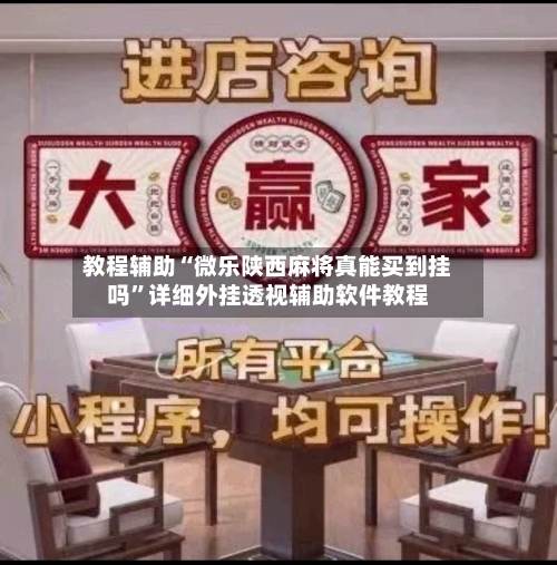 教程辅助“微乐陕西麻将真能买到挂吗”详细外挂透视辅助软件教程-第1张图片