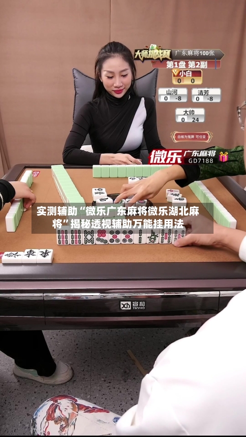 实测辅助“微乐广东麻将微乐湖北麻将”揭秘透视辅助万能挂用法-第1张图片