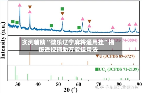 实测辅助“微乐辽宁麻将通用挂”揭秘透视辅助万能挂用法-第3张图片