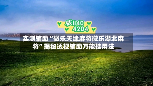 实测辅助“微乐天津麻将微乐湖北麻将”揭秘透视辅助万能挂用法-第2张图片