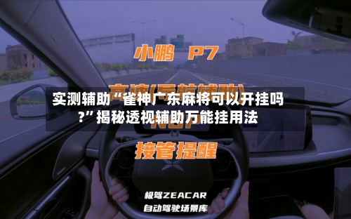 实测辅助“雀神广东麻将可以开挂吗?	”揭秘透视辅助万能挂用法-第3张图片