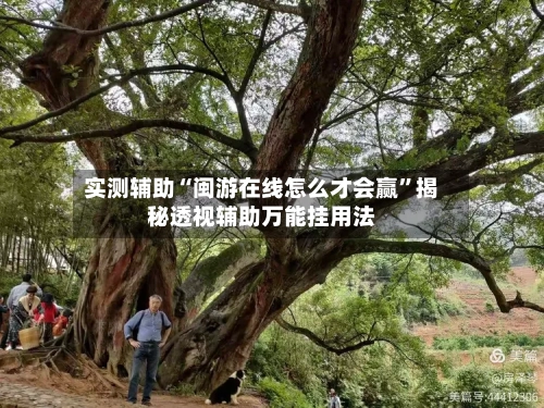 实测辅助“闽游在线怎么才会赢”揭秘透视辅助万能挂用法-第3张图片