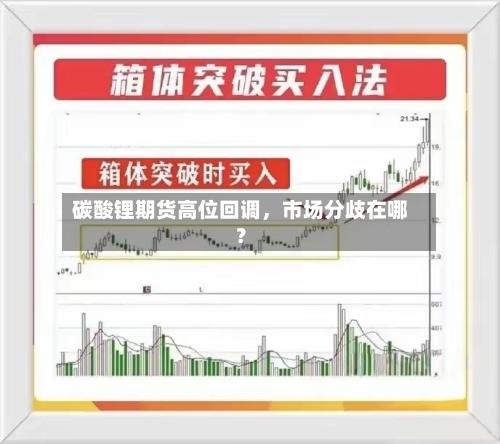 碳酸锂期货高位回调，市场分歧在哪？-第1张图片
