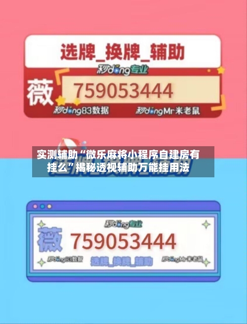 实测辅助“微乐麻将小程序自建房有挂么”揭秘透视辅助万能挂用法-第2张图片