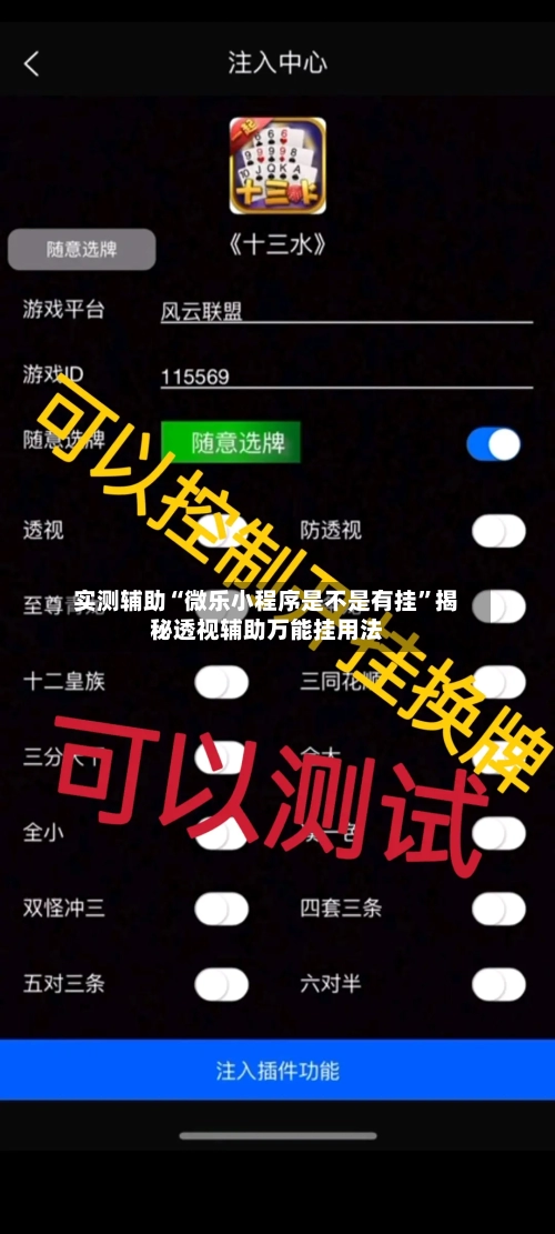 实测辅助“微乐小程序是不是有挂”揭秘透视辅助万能挂用法-第3张图片
