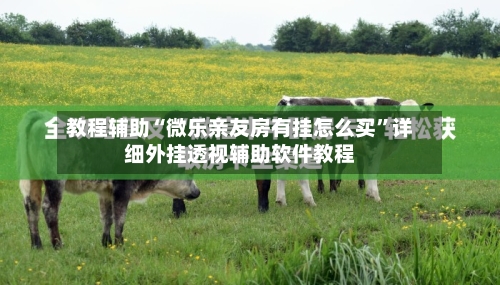 教程辅助“微乐亲友房有挂怎么买	”详细外挂透视辅助软件教程-第1张图片