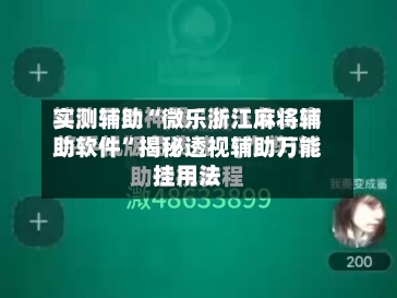 实测辅助“微乐浙江麻将辅助软件”揭秘透视辅助万能挂用法-第1张图片