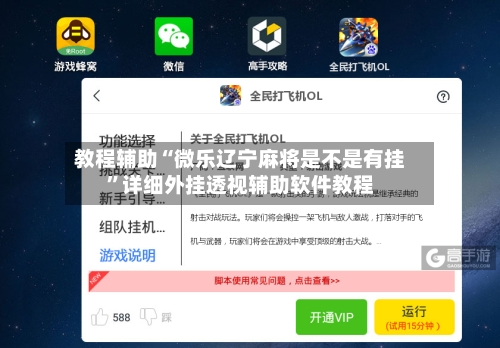 教程辅助“微乐辽宁麻将是不是有挂	”详细外挂透视辅助软件教程-第3张图片