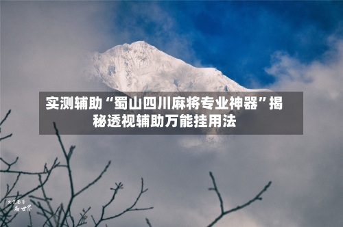 实测辅助“蜀山四川麻将专业神器”揭秘透视辅助万能挂用法-第3张图片