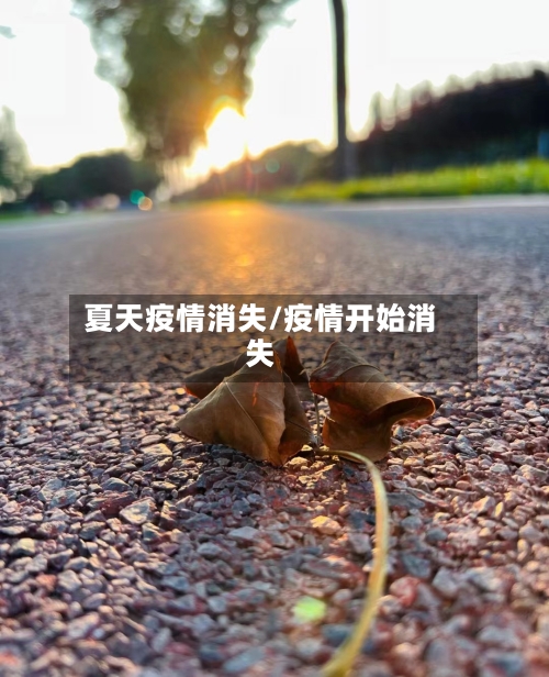 夏天疫情消失/疫情开始消失-第1张图片