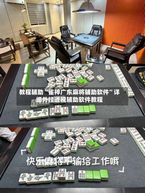 教程辅助“雀神广东麻将辅助软件	”详细外挂透视辅助软件教程-第2张图片
