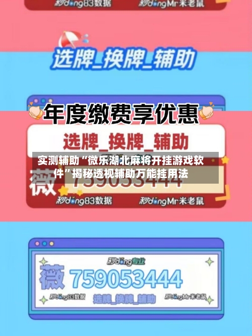 实测辅助“微乐湖北麻将开挂游戏软件”揭秘透视辅助万能挂用法-第1张图片