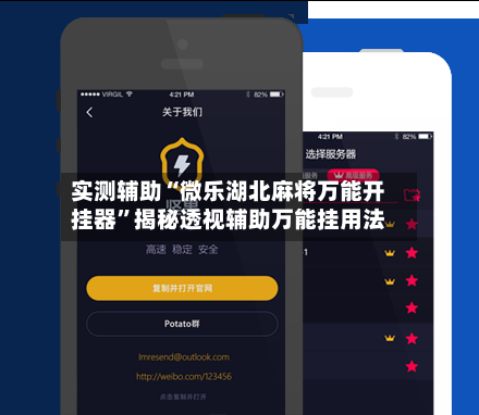 实测辅助“微乐湖北麻将万能开挂器”揭秘透视辅助万能挂用法-第2张图片