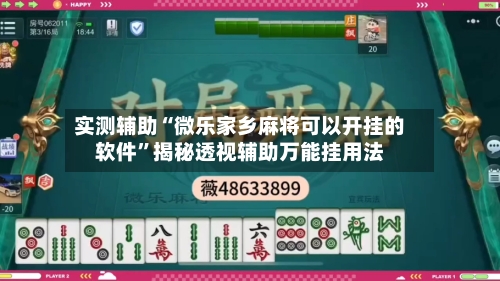 实测辅助“微乐家乡麻将可以开挂的软件”揭秘透视辅助万能挂用法-第2张图片