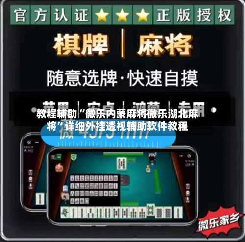 教程辅助“微乐内蒙麻将微乐湖北麻将	”详细外挂透视辅助软件教程-第2张图片