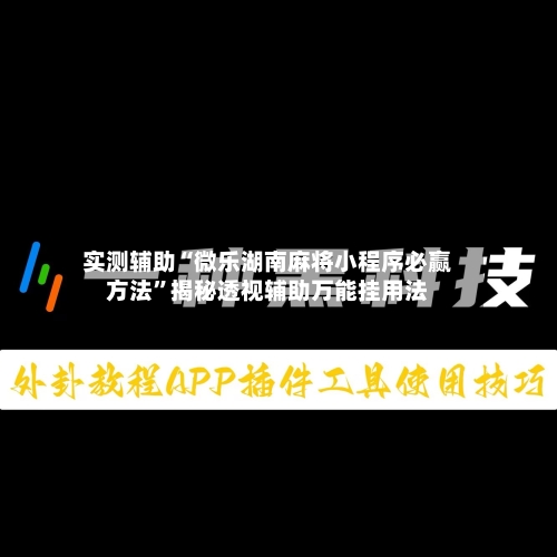 实测辅助“微乐湖南麻将小程序必赢方法”揭秘透视辅助万能挂用法-第1张图片