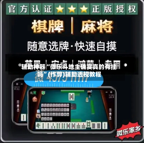 辅助神器“微乐斗地主确实真的有挂吗”(作弊)辅助透视教程-第2张图片