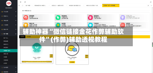 辅助神器“微信链接金花作弊辅助软件	”(作弊)辅助透视教程-第3张图片
