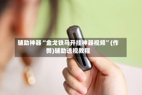 辅助神器“金戈铁马开挂神器视频”(作弊)辅助透视教程-第2张图片