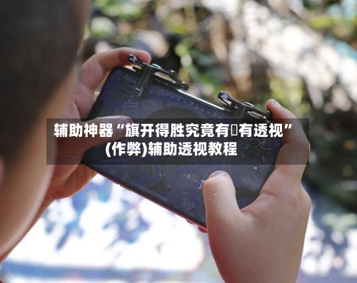 辅助神器“旗开得胜究竟有沒有透视”(作弊)辅助透视教程-第3张图片