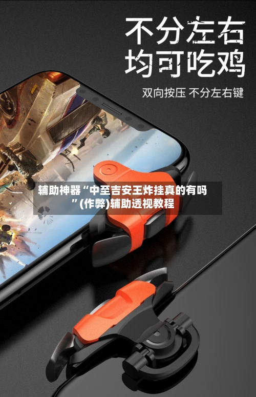 辅助神器“中至吉安王炸挂真的有吗	”(作弊)辅助透视教程-第1张图片