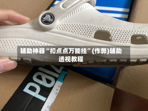 辅助神器“扣点点万能挂”(作弊)辅助透视教程-第3张图片