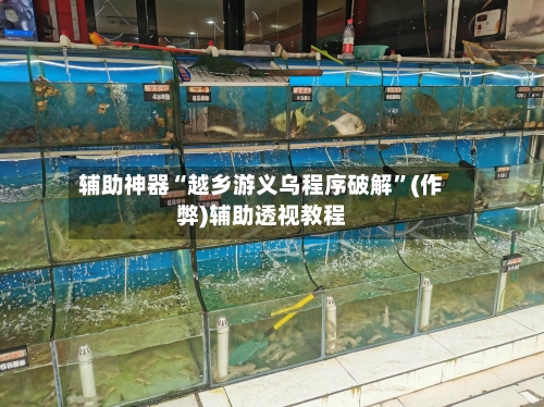辅助神器“越乡游义乌程序破解”(作弊)辅助透视教程-第1张图片