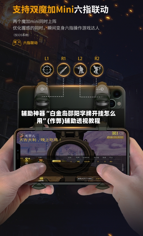 辅助神器“白金岛邵阳字牌开挂怎么用”(作弊)辅助透视教程-第2张图片