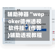 辅助神器“wepoker德州透视软件挂”(作弊)辅助透视教程-第3张图片