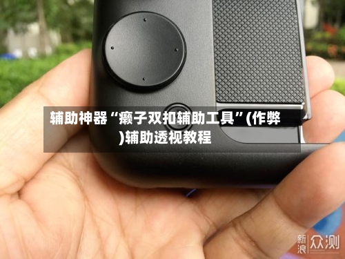 辅助神器“癞子双扣辅助工具”(作弊)辅助透视教程-第2张图片