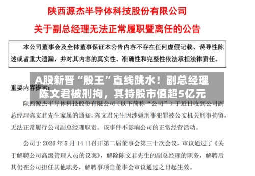 A股新晋“股王”直线跳水！副总经理陈文君被刑拘，其持股市值超5亿元-第2张图片