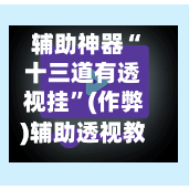 辅助神器“十三道有透视挂”(作弊)辅助透视教程-第1张图片