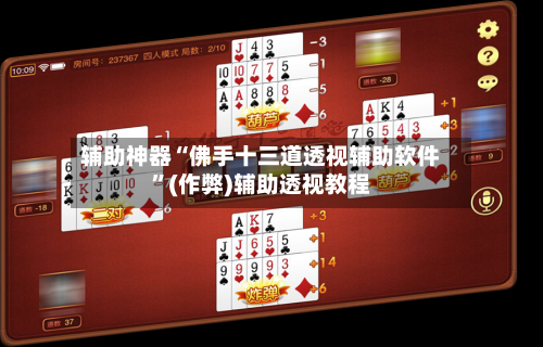 辅助神器“佛手十三道透视辅助软件”(作弊)辅助透视教程-第3张图片