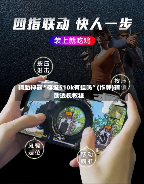 辅助神器“榕城510k有挂吗”(作弊)辅助透视教程-第3张图片