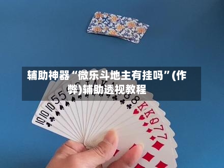 辅助神器“微乐斗地主有挂吗”(作弊)辅助透视教程-第2张图片