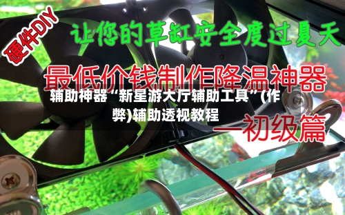 辅助神器“新星游大厅辅助工具	”(作弊)辅助透视教程-第2张图片