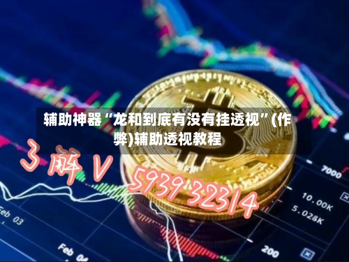 辅助神器“龙和到底有没有挂透视”(作弊)辅助透视教程-第2张图片