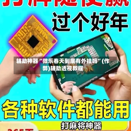 辅助神器“微乐春天到底有外挂吗”(作弊)辅助透视教程-第2张图片