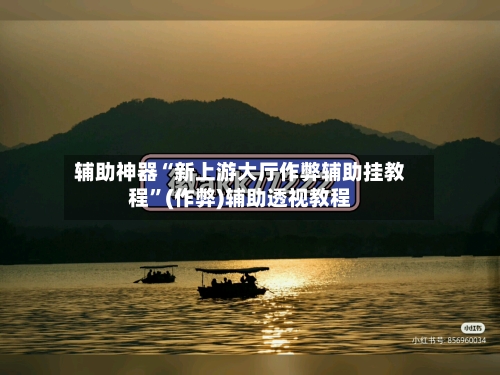 辅助神器“新上游大厅作弊辅助挂教程”(作弊)辅助透视教程-第3张图片