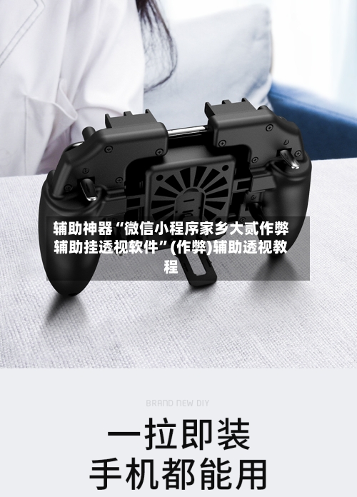 辅助神器“微信小程序家乡大贰作弊辅助挂透视软件”(作弊)辅助透视教程-第1张图片