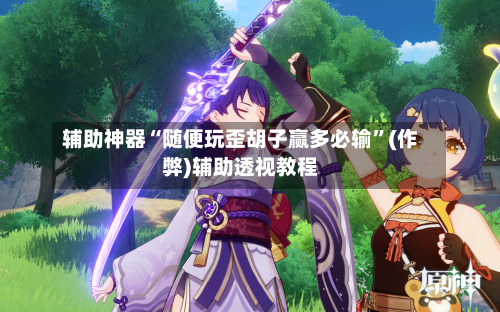 辅助神器“随便玩歪胡子赢多必输”(作弊)辅助透视教程-第3张图片